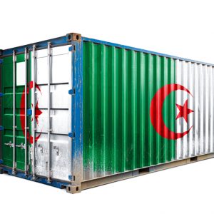 Container Flagge Algerien