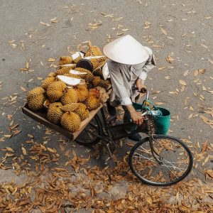 Fahrradfahrer transportiert Durian-Frucht auf dem Gepäckträger