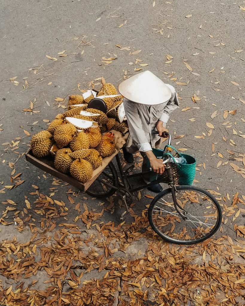 Fahrradfahrer transportiert Durian-Frucht auf dem Gepäckträger